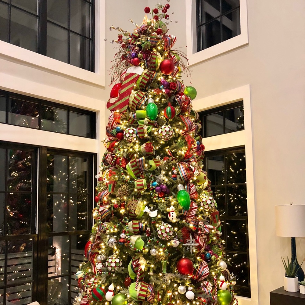 Meet your Posher, Molly